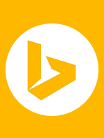 bing-review